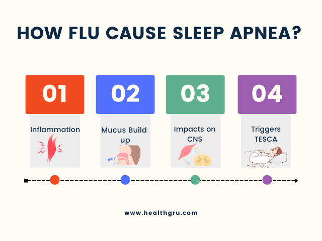 How Flu Cause Sleep Apnea Infographic